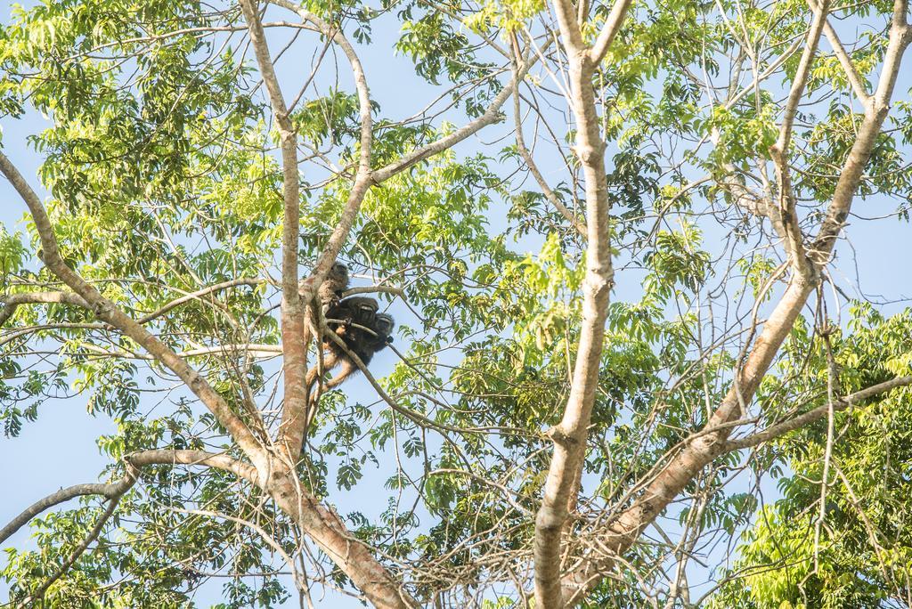 Pousada Vila Flor Da Mata Trancoso Ngoại thất bức ảnh