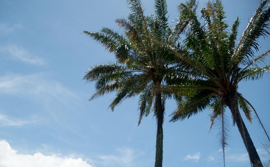 Pousada Vila Flor Da Mata Trancoso Ngoại thất bức ảnh